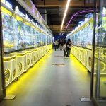 Coin Operated Kids Air Hockey Table Theme Ticket Children Small Hockey Sport Game Machines